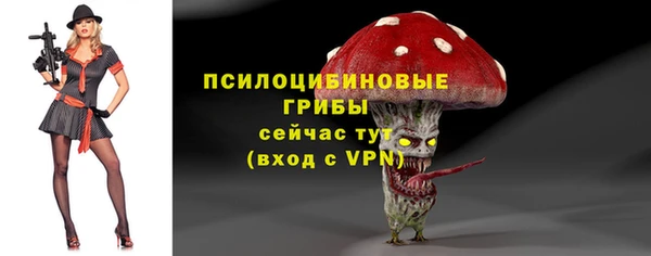 СК Балахна