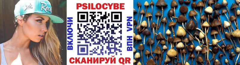 Псилоцибиновые грибы GOLDEN TEACHER  Сегежа 